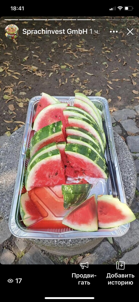 Bilder SPRACHiNVEST