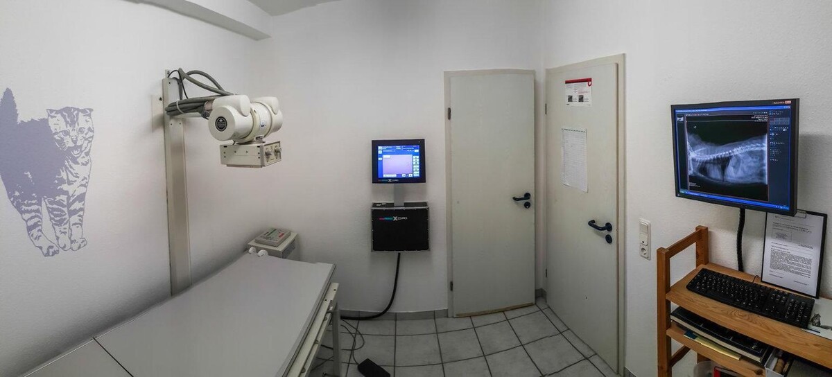 Bilder Kleintierpraxis am Hirschgraben
