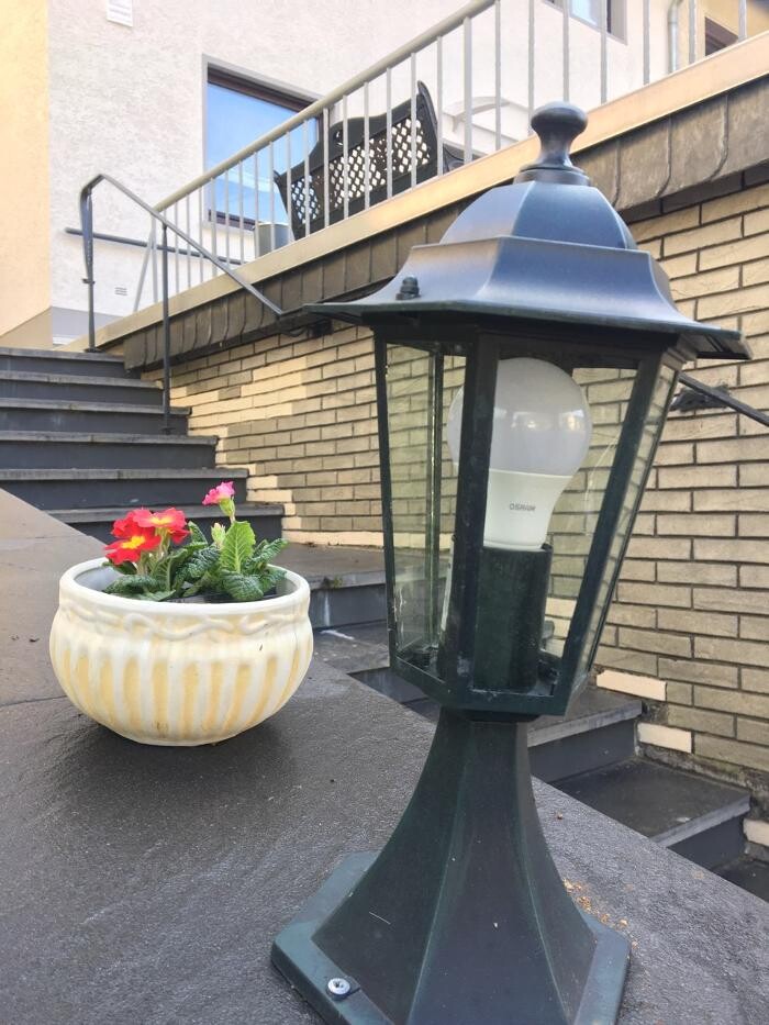 Bilder Ferienwohnungen Traubeneiche