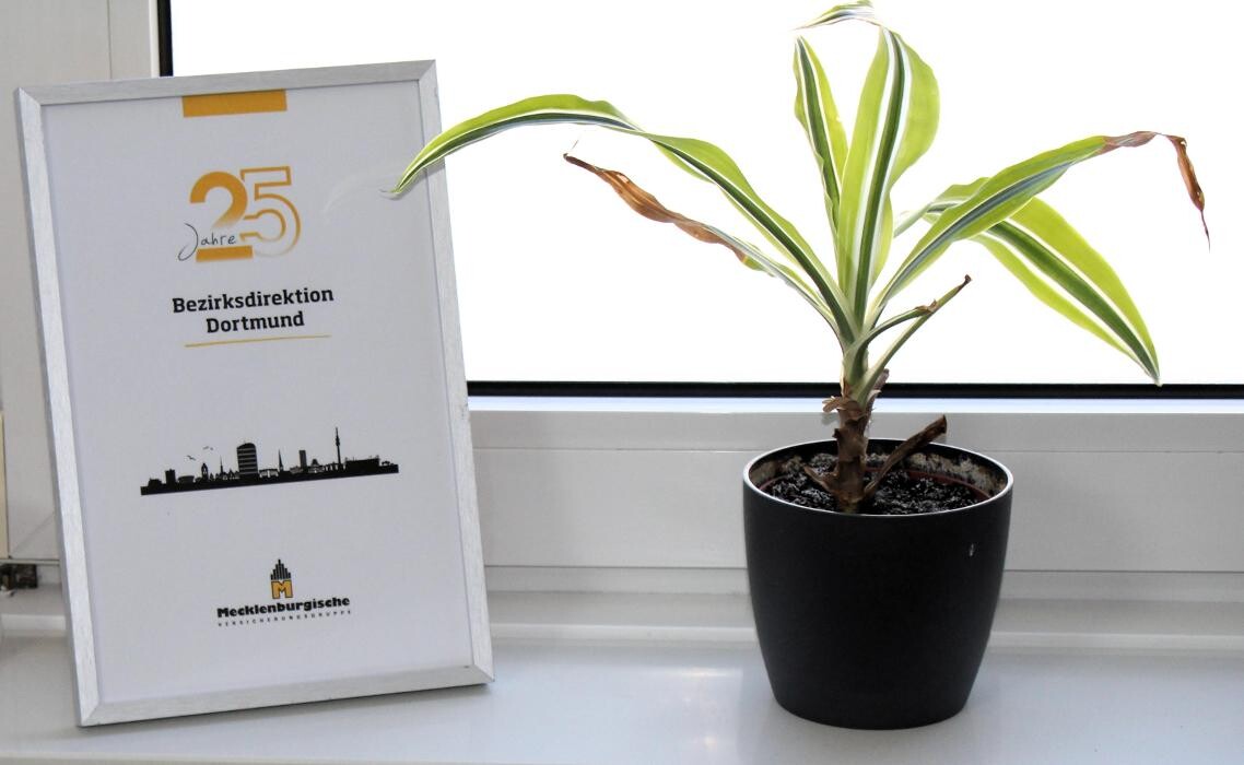 Bilder Mecklenburgische Versicherung Sascha Fischer