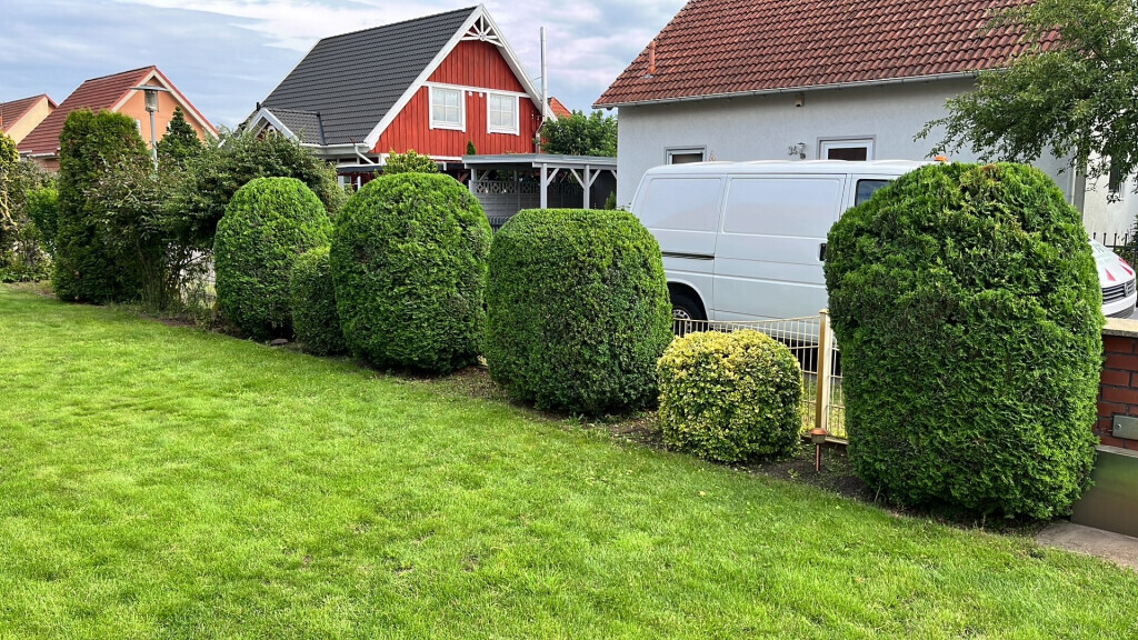 Bilder Haus- und Gartenservice Lucas Sense