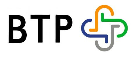 Berlin Team Plus Service GmbH Logo