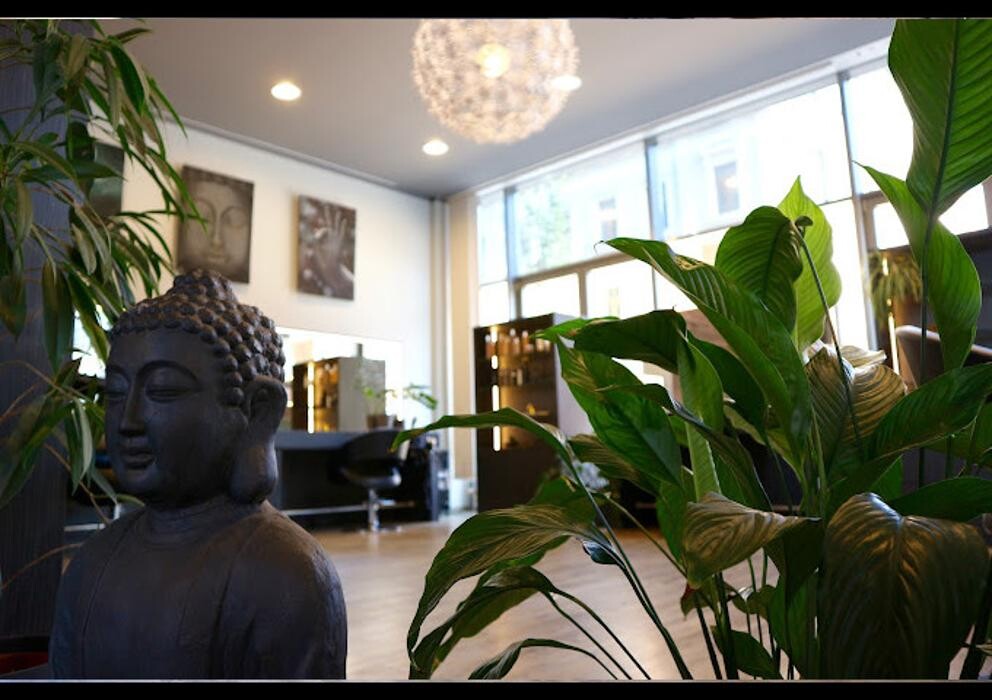 Bilder Friseur Blossom