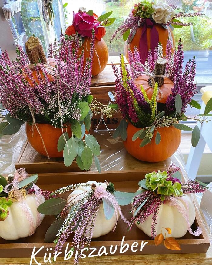 Bilder Blumenhaus Maaß