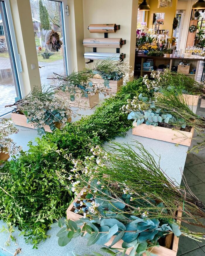 Bilder Blumenhaus Maaß