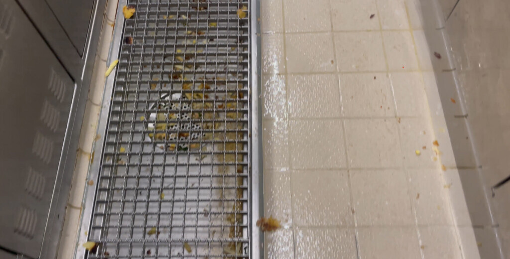 Bilder D.Z. Cleaning U.G.(haftungsbeschränkt)