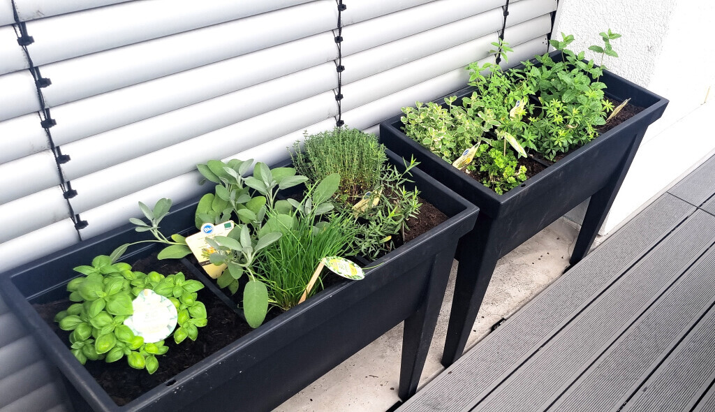 Bilder Vida Tagespflege GmbH