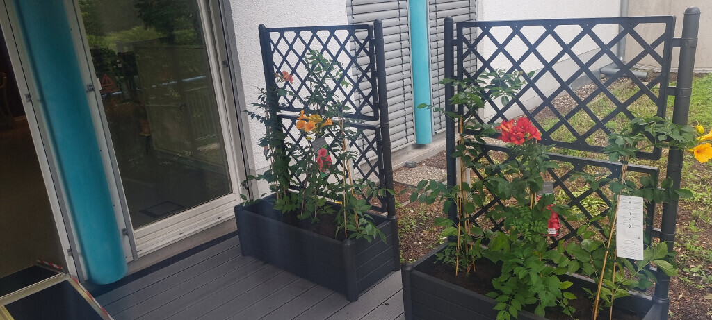 Bilder Vida Tagespflege GmbH