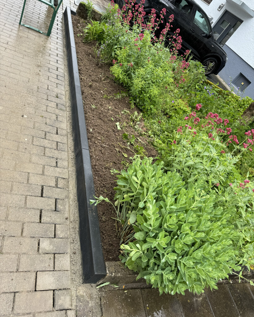 Bilder B&B Bau Garten und Landschaftsbau