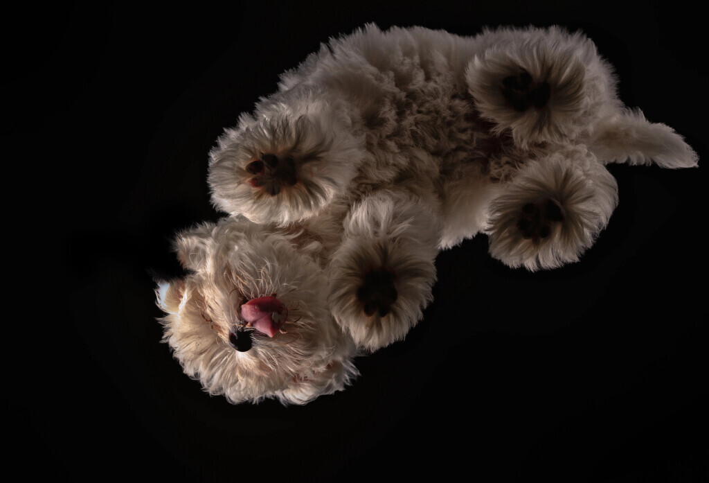 Bilder Fotostudio Klick-Moment