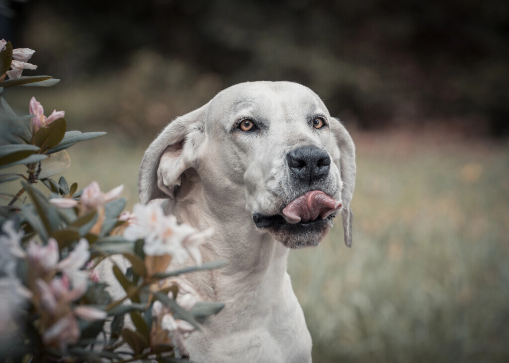 Bilder Fotostudio Klick-Moment