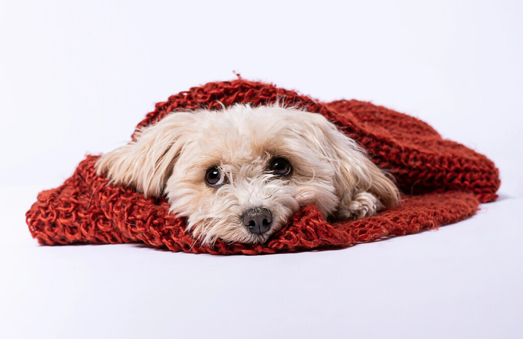 Bilder Fotostudio Klick-Moment