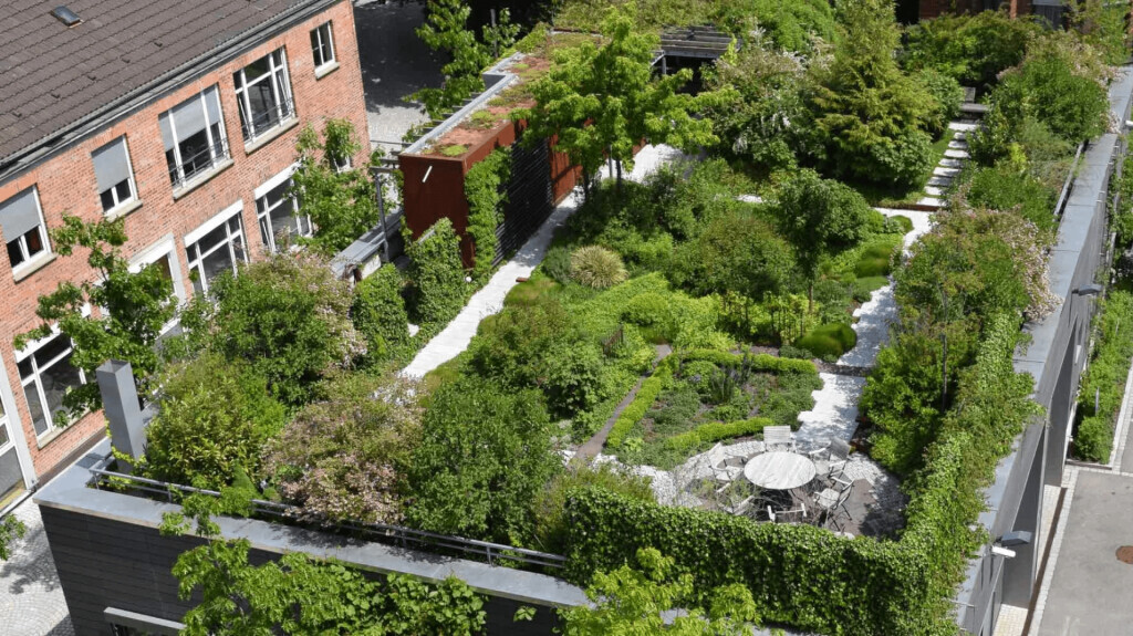 Bilder Naturdachwelten GmbH