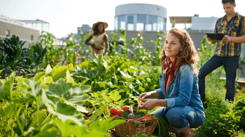 Bilder Naturdachwelten GmbH