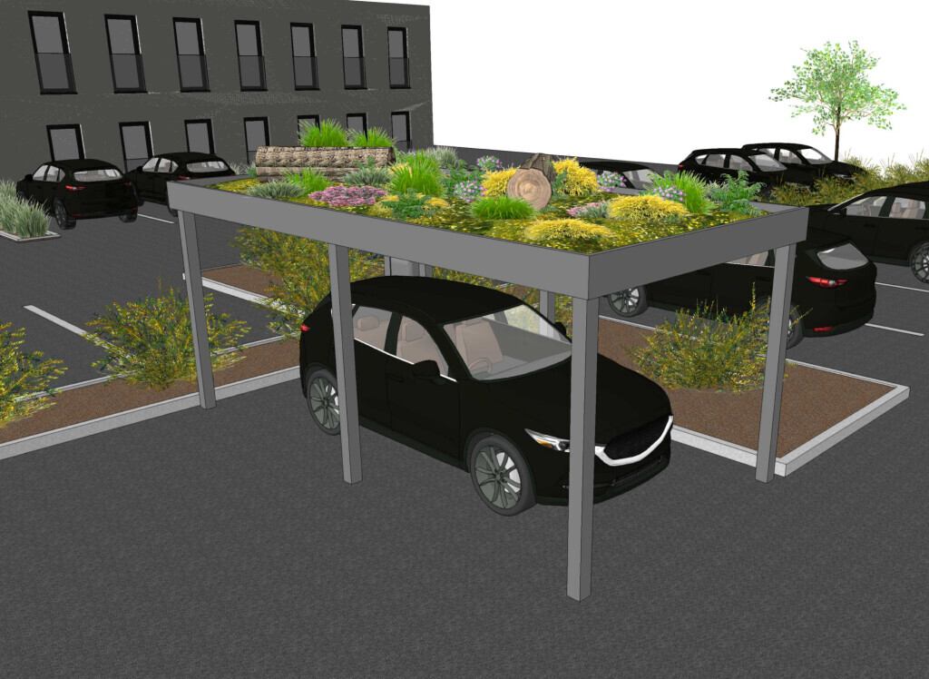 Bilder Naturdachwelten GmbH