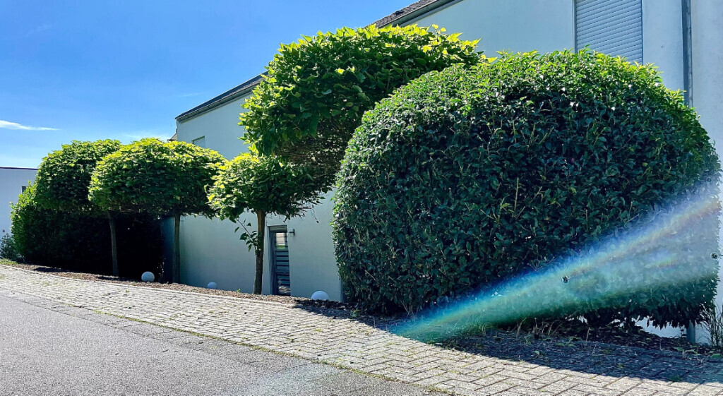 Bilder Landschaftspflege & Gartenbau Manuel Alten