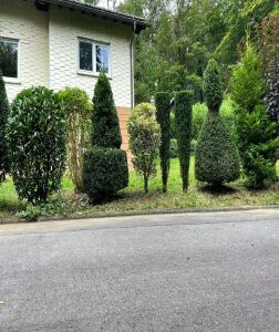 Bilder Landschaftspflege & Gartenbau Manuel Alten