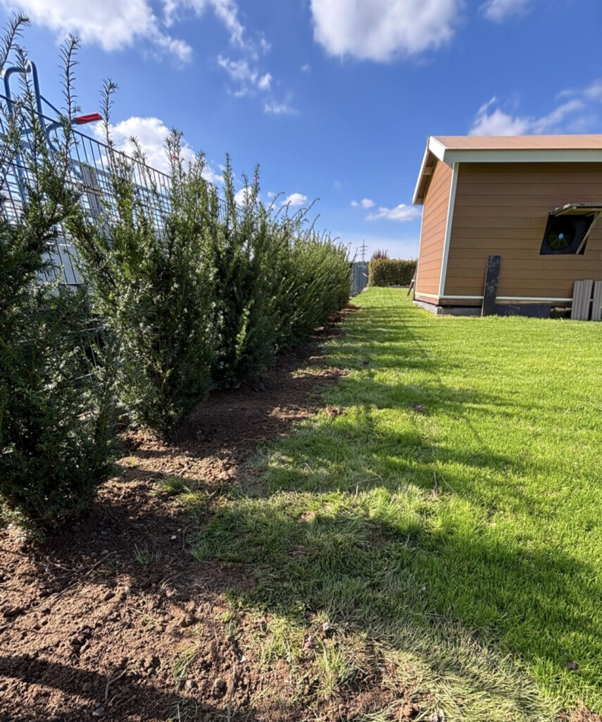 Bilder Landschaftspflege & Gartenbau Manuel Alten