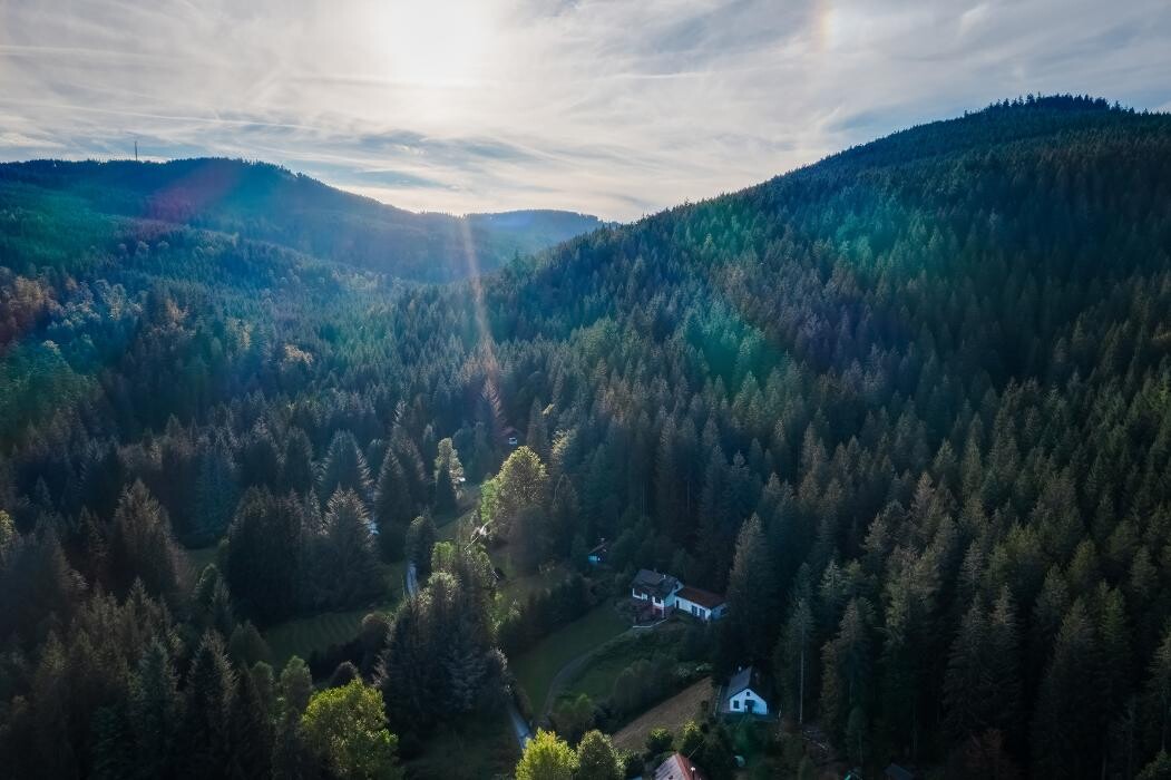 Bilder Iris Albert HP Psychotherapie(HeilprG)/Entwicklungstrauma-heilen/Mediales Heilen