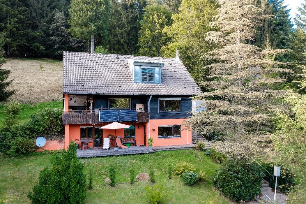 Bilder Iris Albert HP Psychotherapie(HeilprG)/Entwicklungstrauma-heilen/Mediales Heilen