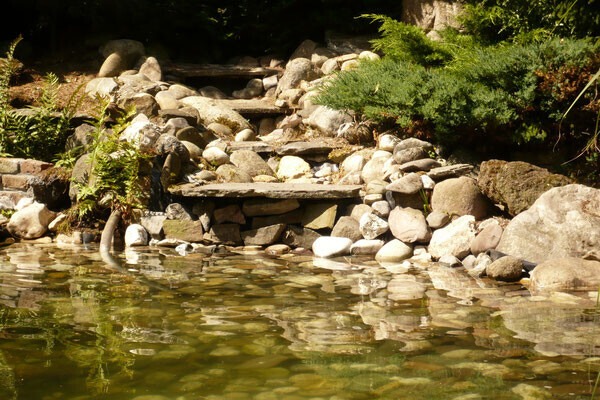 Bilder Gartengestaltung Scholz