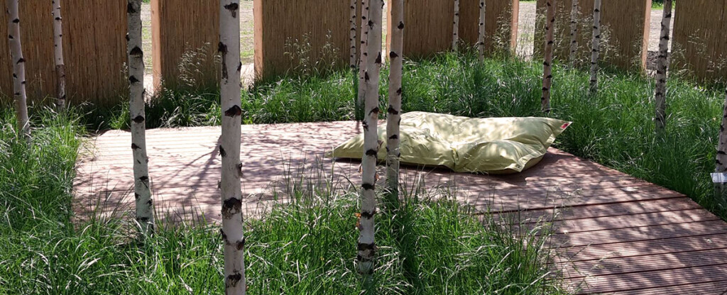 Bilder Dirk Schoebel Garten- und Landschaftsbau