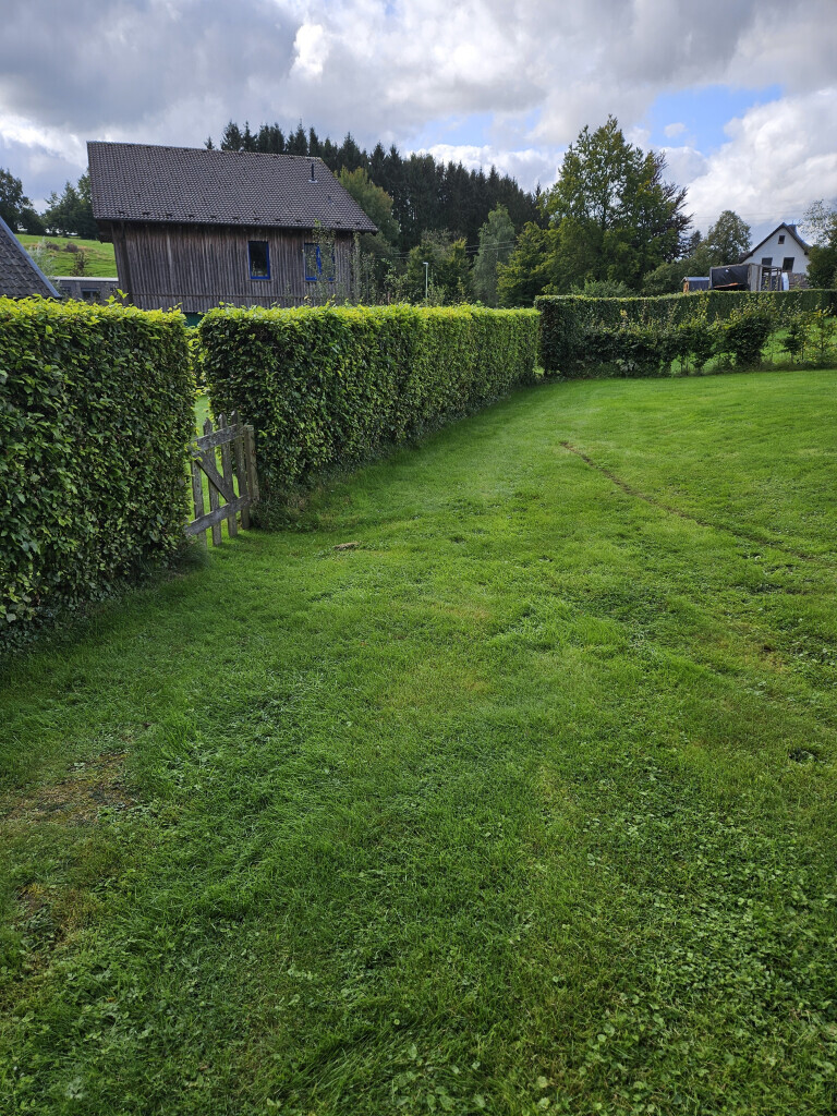 Bilder Eifel Cleaning Service