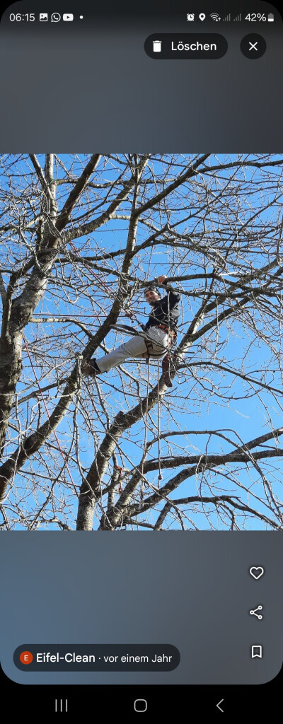 Bilder Eifel Cleaning Service