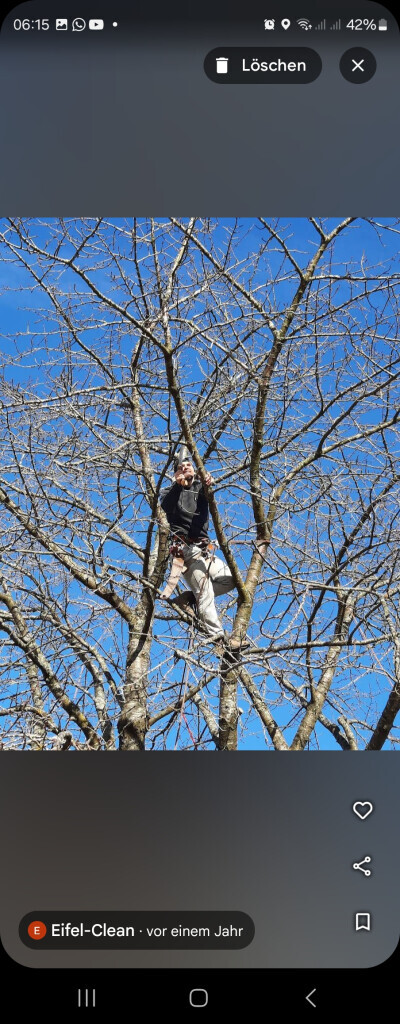 Bilder Eifel Cleaning Service