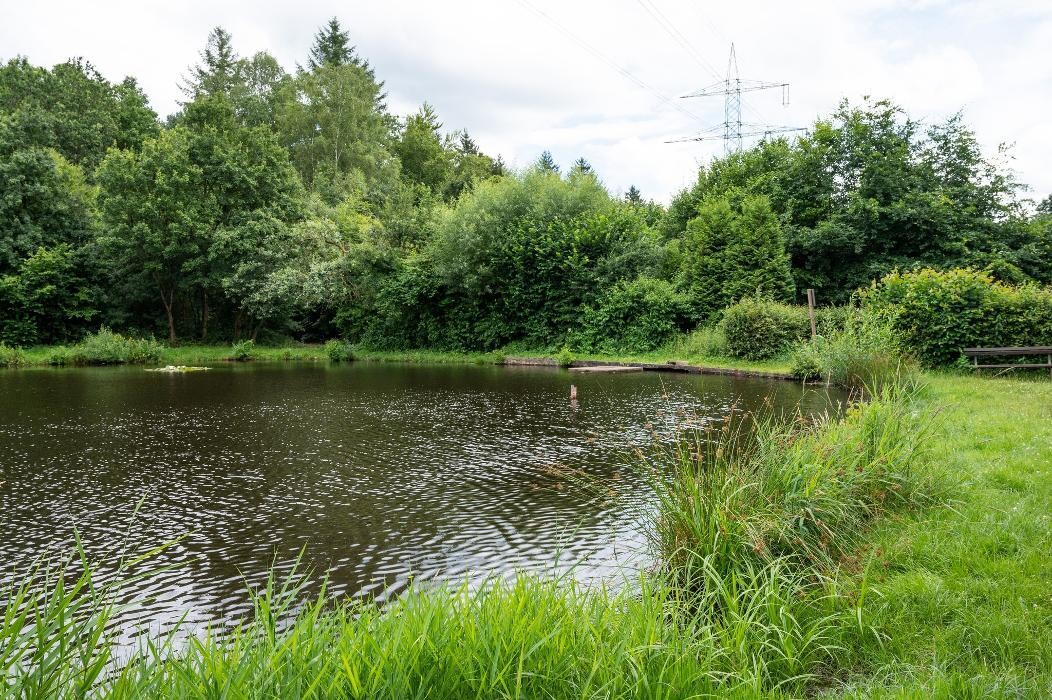 Bilder Fischerhütte am Wombacher Weiher