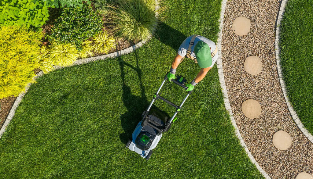 Bilder Azizi Gartenbau