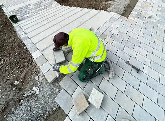 Bilder Azizi Gartenbau