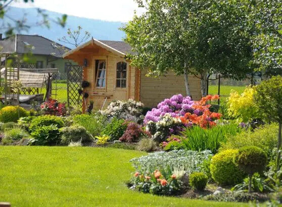 Bilder Azizi Gartenbau