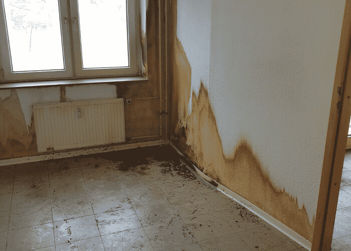Bilder Tatortreinigung 365