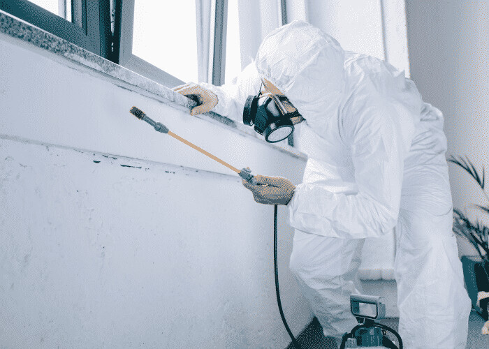 Bilder Tatortreinigung-365