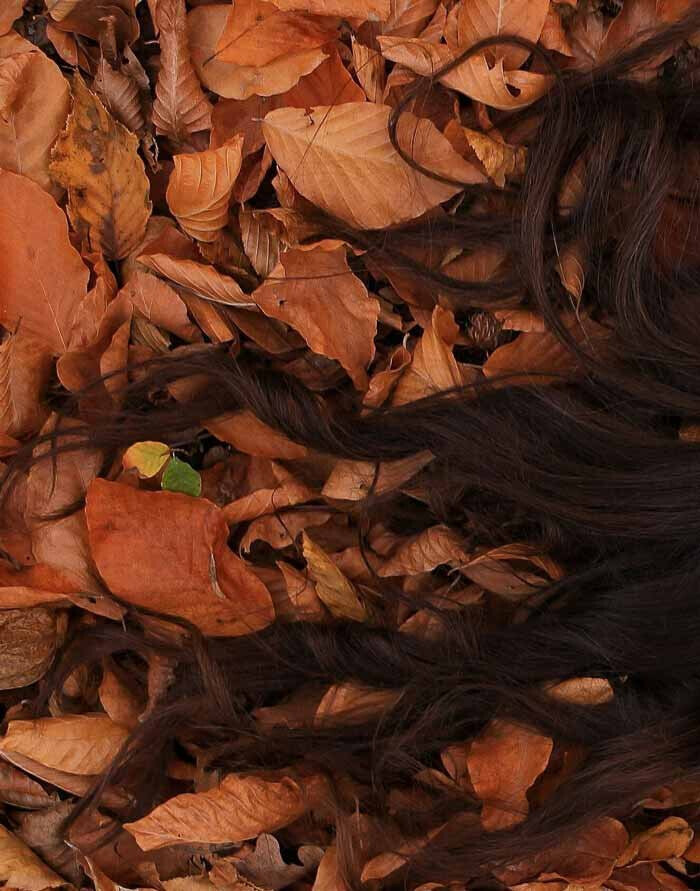 Bilder LEXUR GmbH - Manufaktur für Naturkosmetik