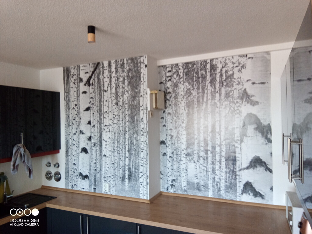 Bilder MewesBau