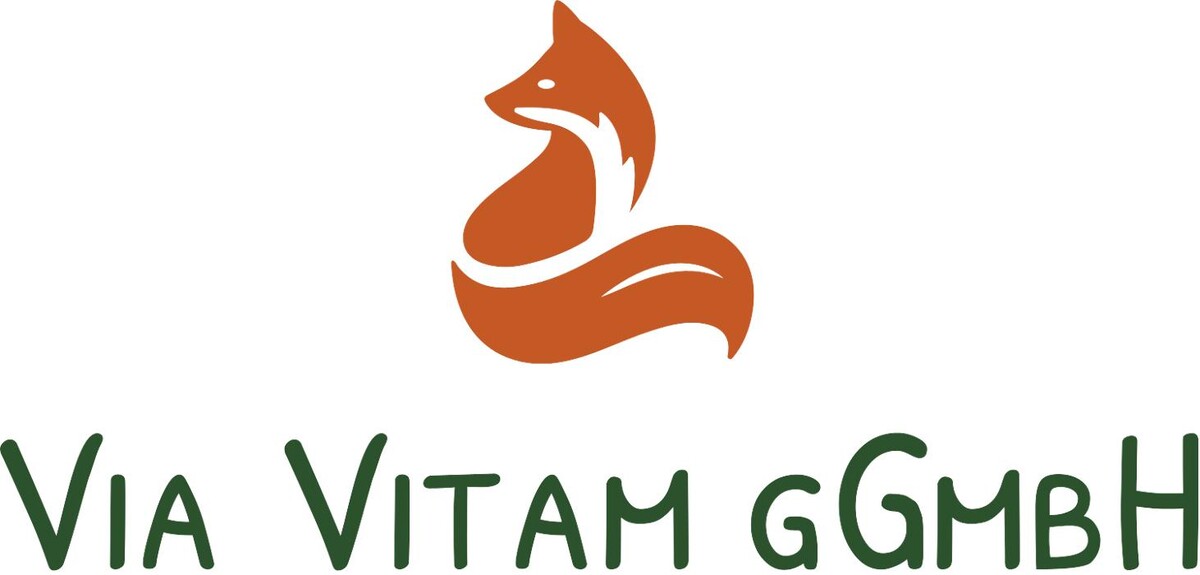 Via Vitam Logo
