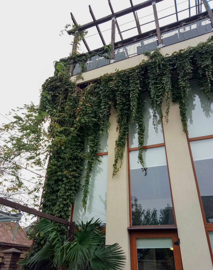 Bilder Green-Art