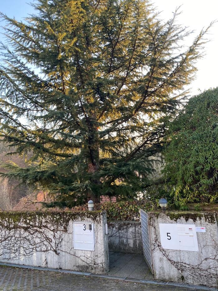 Bilder INQUA Institut für Coaching