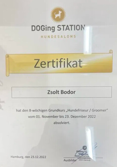 Bilder Doggy Style Hundepflege