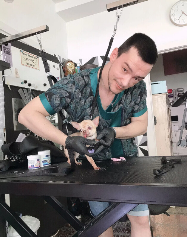 Bilder Doggy Style Hundepflege