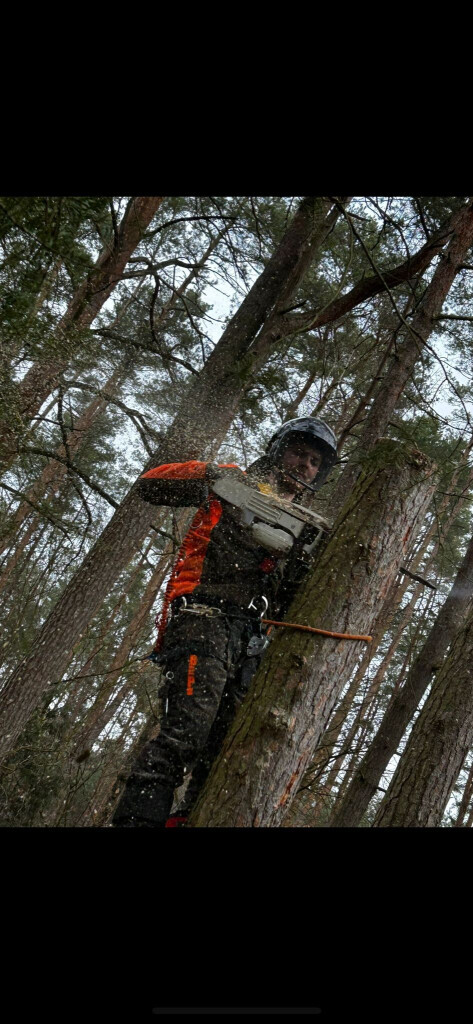 Bilder Omach Gartenlandschaftsbau