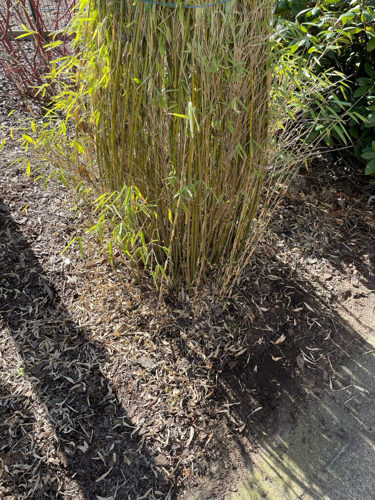 Bilder Omach Gartenlandschaftsbau