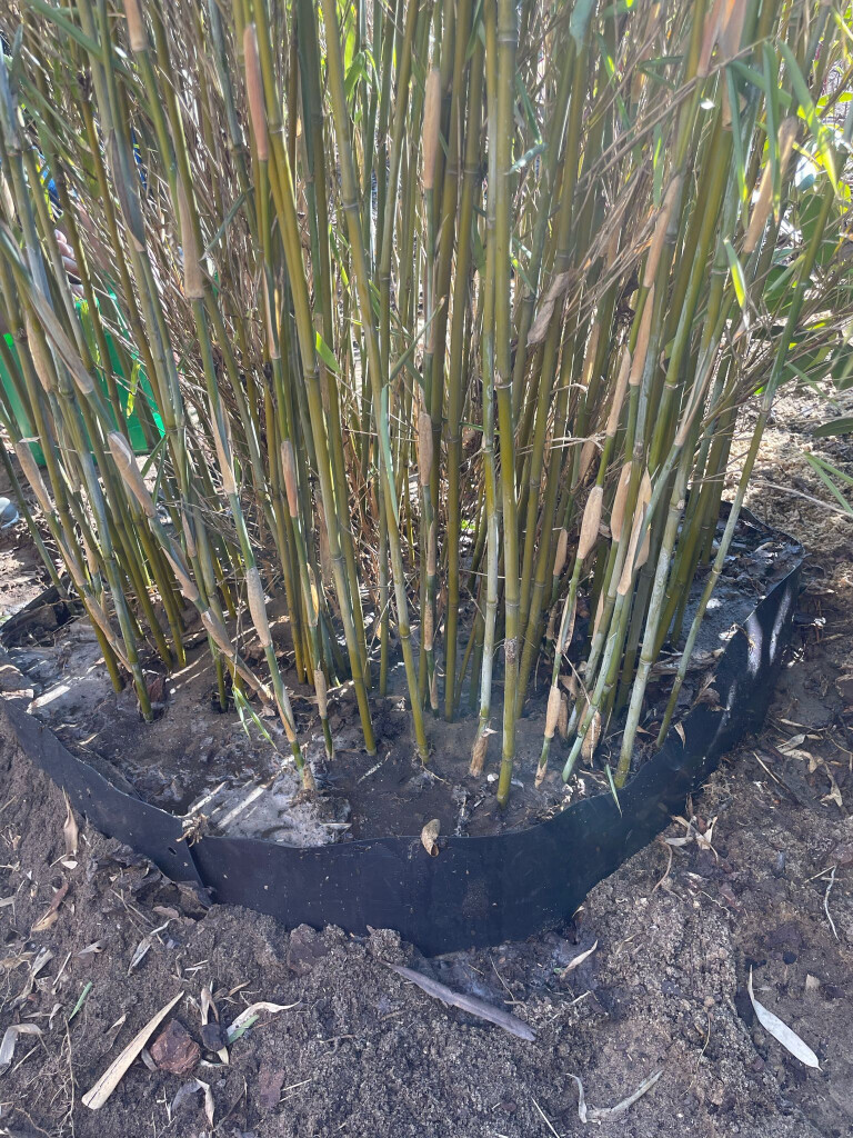 Bilder Omach Gartenlandschaftsbau