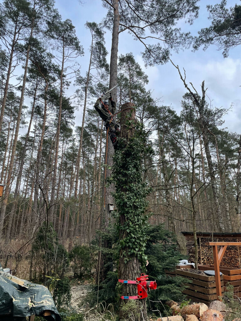 Bilder Omach Gartenlandschaftsbau