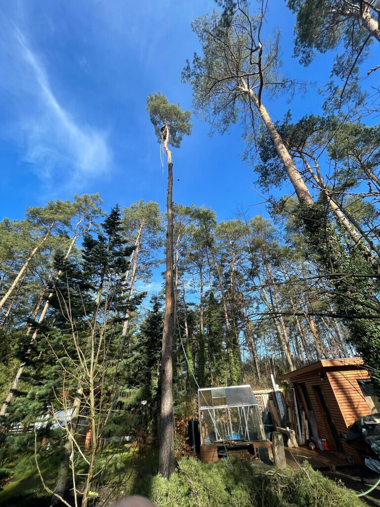 Bilder Omach Gartenlandschaftsbau