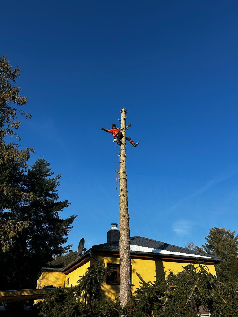 Bilder Omach Gartenlandschaftsbau