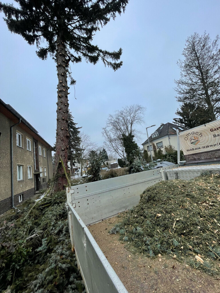 Bilder Omach Gartenlandschaftsbau