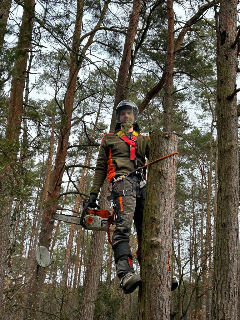 Bilder Omach Gartenlandschaftsbau
